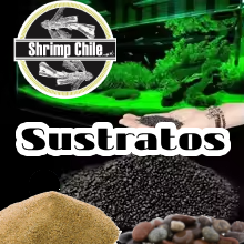 Sustratos y Accesorios Aquascaping