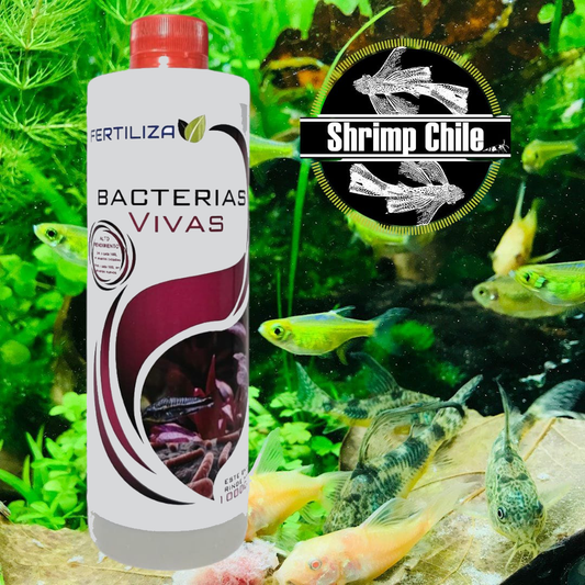 Bacterias Vivas Fertiliza