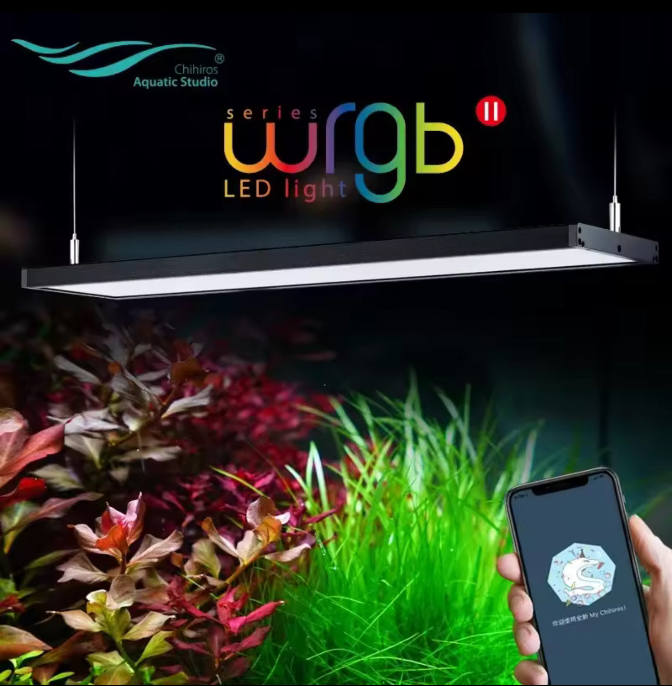 Chihiros WRGB II Version Decimo Aniversario – Shrimp Chile