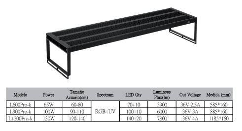L Series - Week Aqua