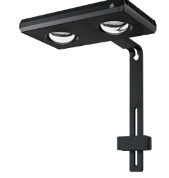 Z250 Pro - Week Aqua