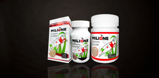 Milione bacteria powder Sl-Aqua