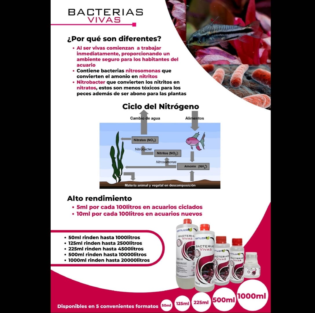Bacterias Vivas Fertiliza