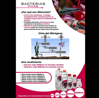 Bacterias Vivas Fertiliza