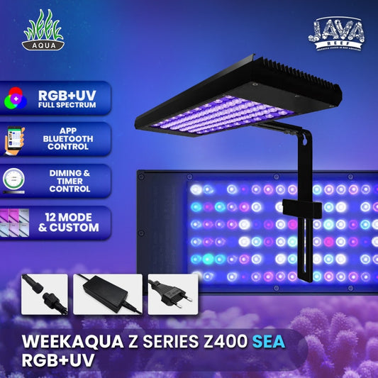 Z400 Versión Marina - Week Aqua