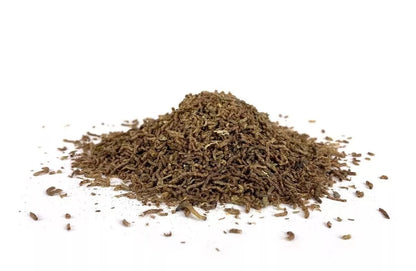 Larva de mosquito 130 ml. AZOO